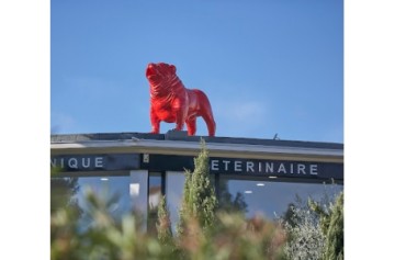 Clinique Veterinaire Daure