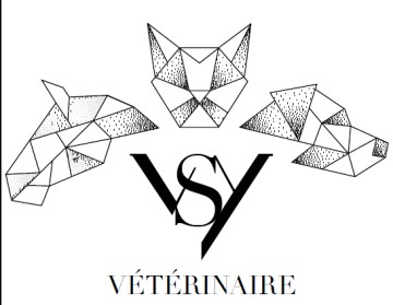 selarl vsy veterinaire