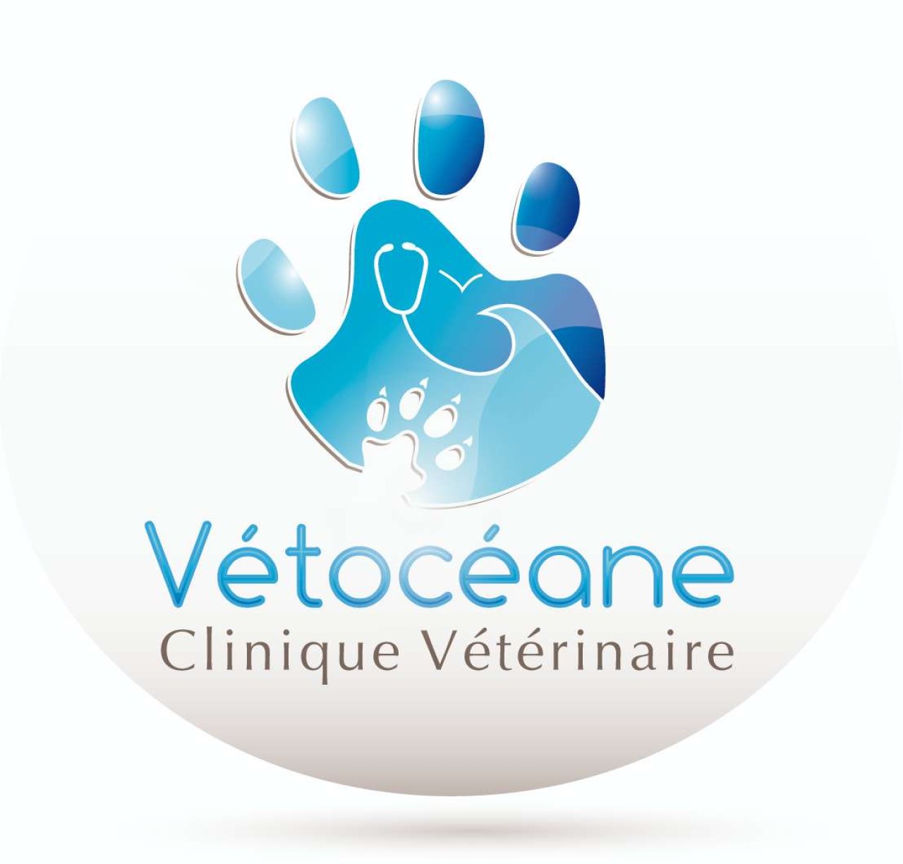Clinique Vetoceane