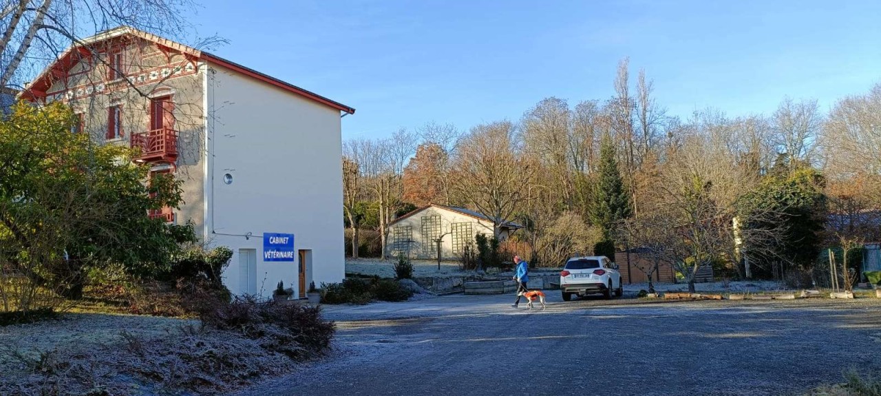 Cabinet Vétérinaire