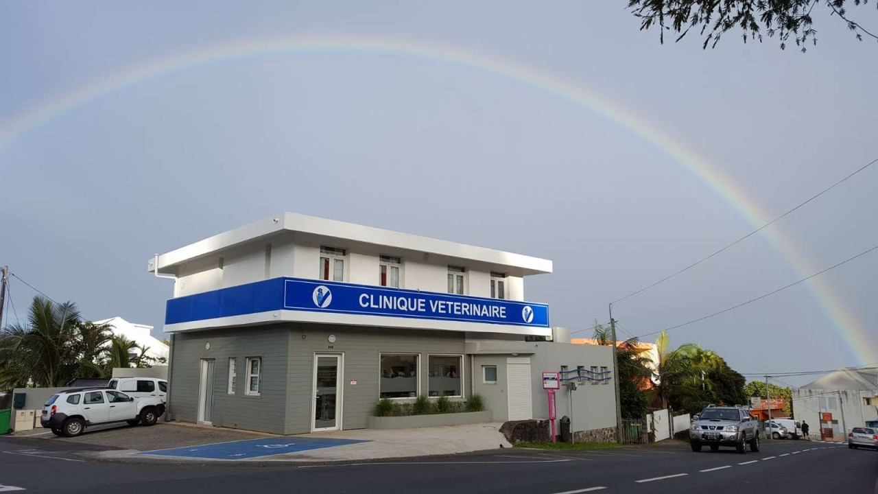 clinique vétérinaire du vieux moulin
