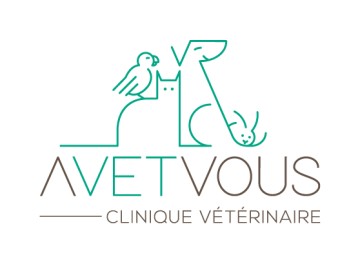 clinique veterinaire avetvous