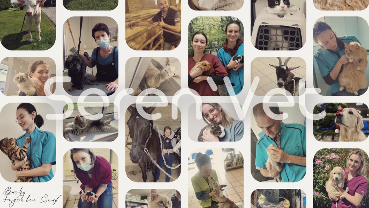 Clinique Veterinaire Seren'vet