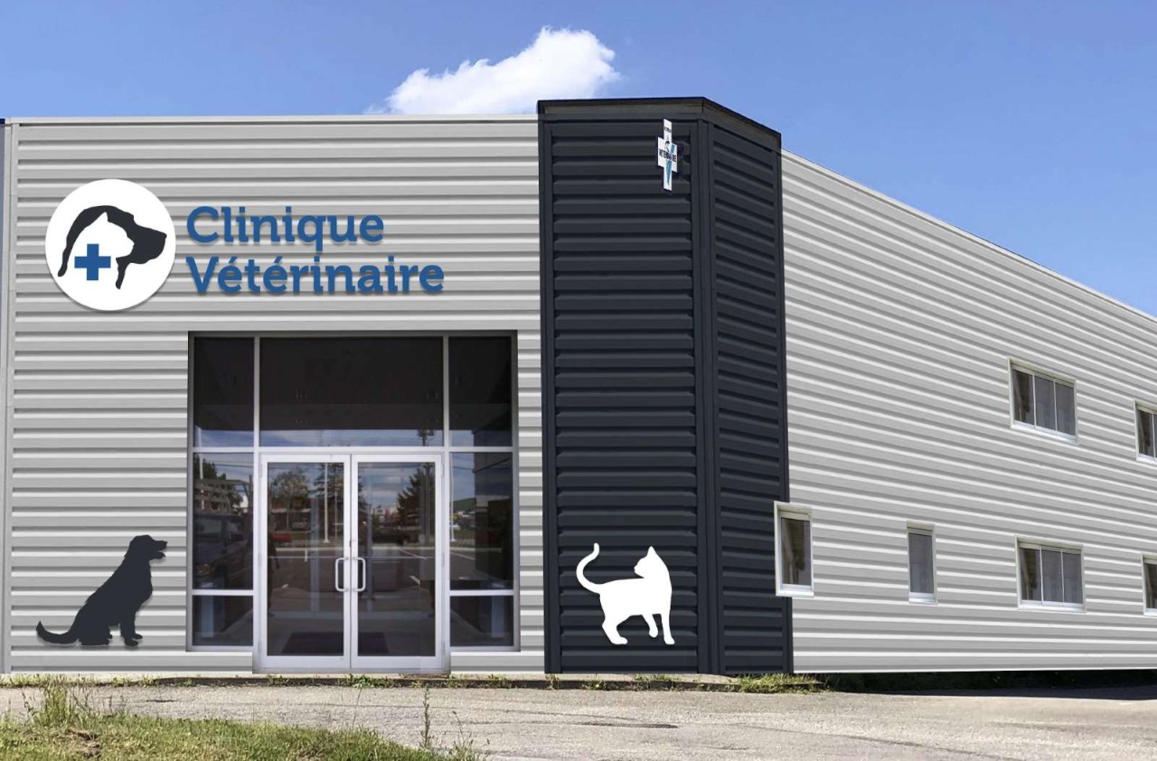 Clinique Vétérinaire Saint-Pierre