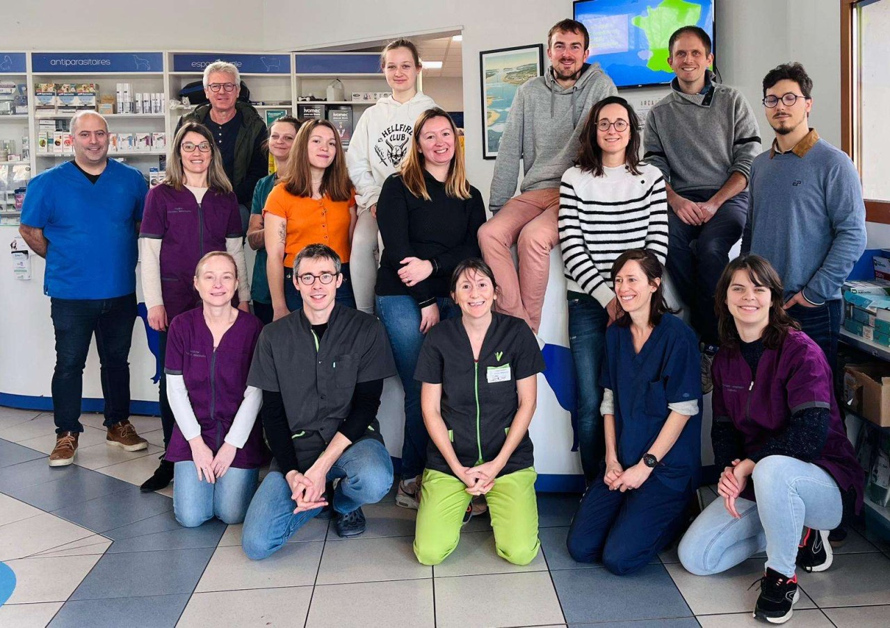 Offre poste vétérinaire mixte 44150 Ancenis (1) (F/H) Arcadia