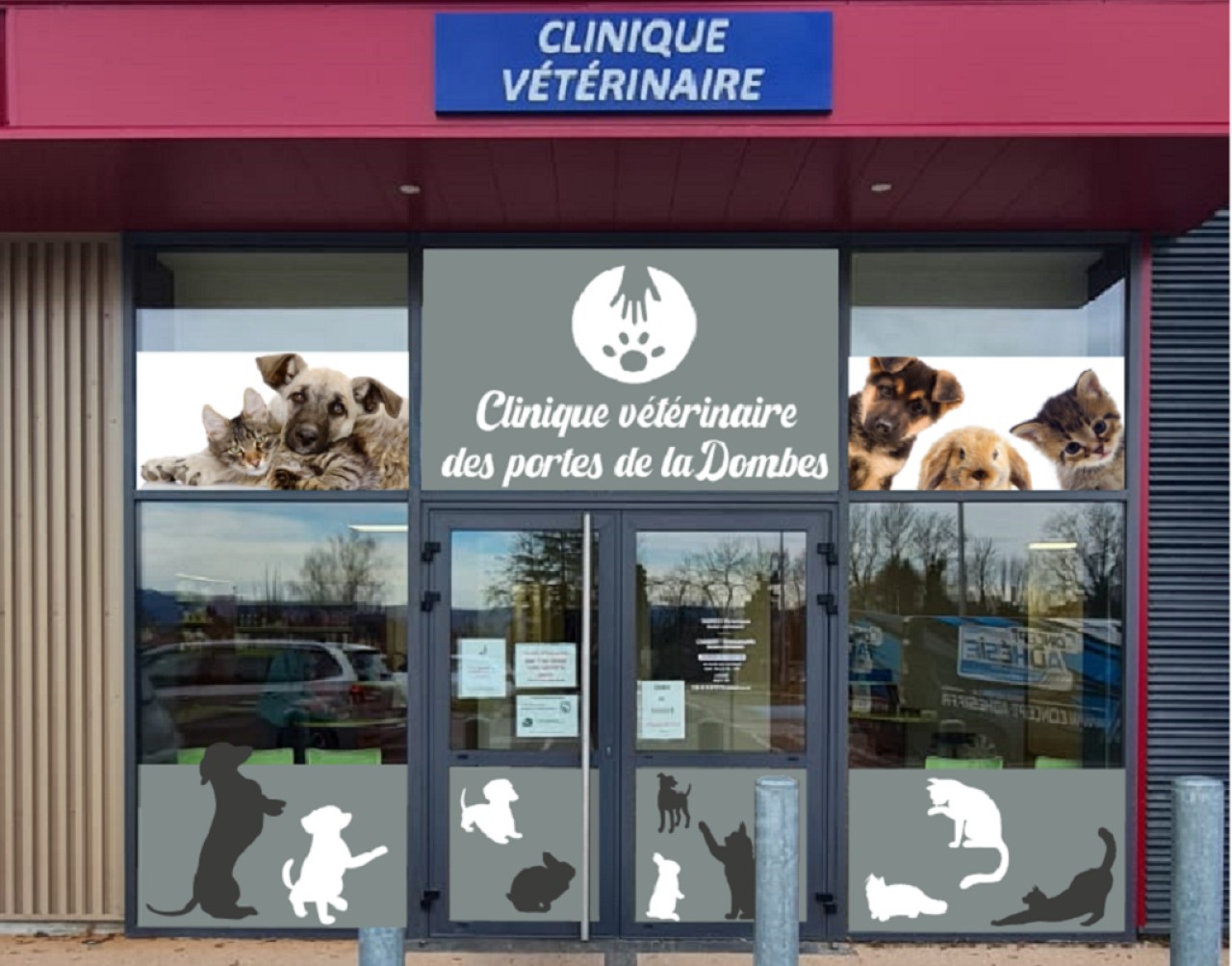 Clinique Vétérinaire Des Portes De La Dombes