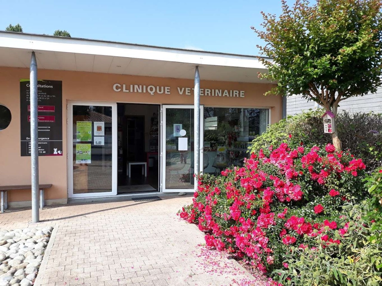 Clinique Vétérinaire De L'illot