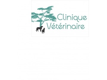 Clinique Vétérinaire De Dolus