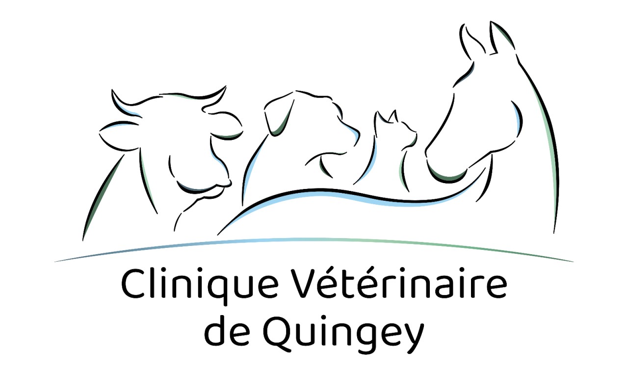 Clinique vétérinaire de Quingey