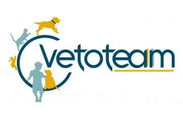 Vetoteam