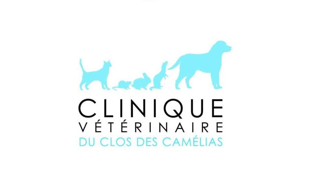 Clinique Du Clos Des Camélias