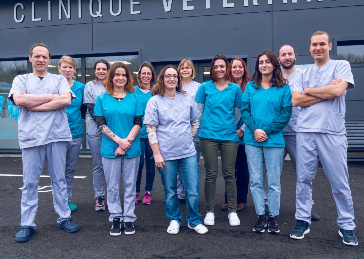 Clinique Vétérinaire Joué-Les-Tours