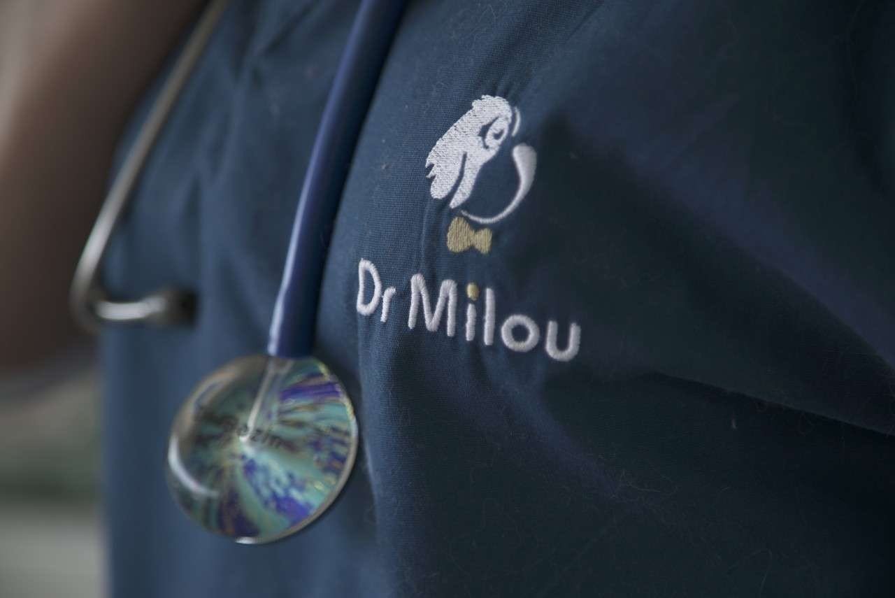 Dr Milou