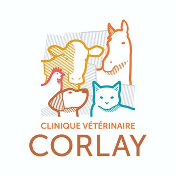 Clinique Vétérinaire De Corlay