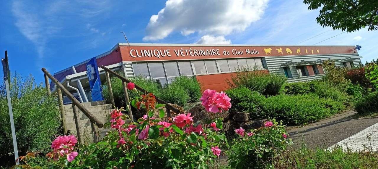 Clinique Vétérinaire Du Clair Matin