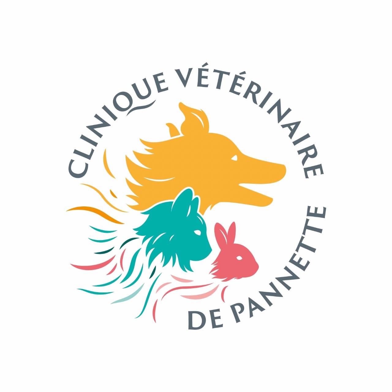 Clinique Veterinaire De Pannette