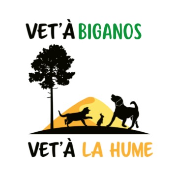 Vet's (Vet' à la Hume et Vet' à Biganos)
