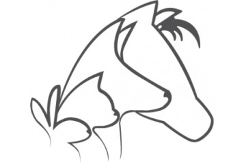 Clinique Veterinaire Saint Pierre