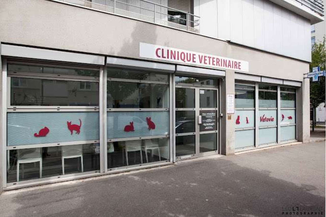 VETOVIE Saint Hélier
