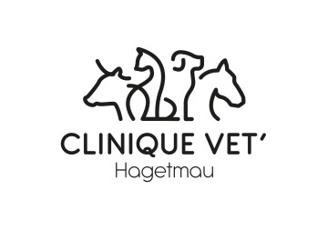 CLINIQUE VET'HAGETMAU