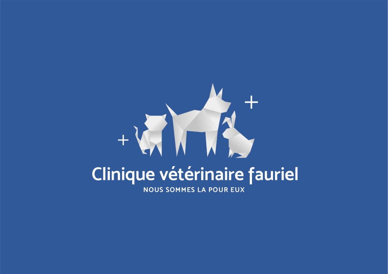 Clinique Vétérinaire Fauriel
