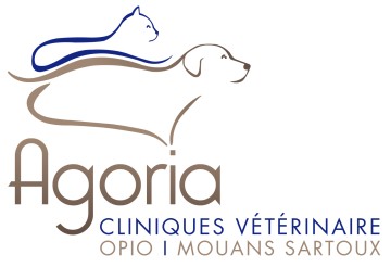 SELARL agoria