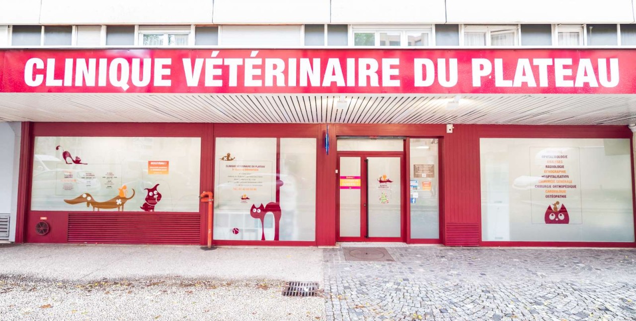 Clinique Veterinaire Du Plateau