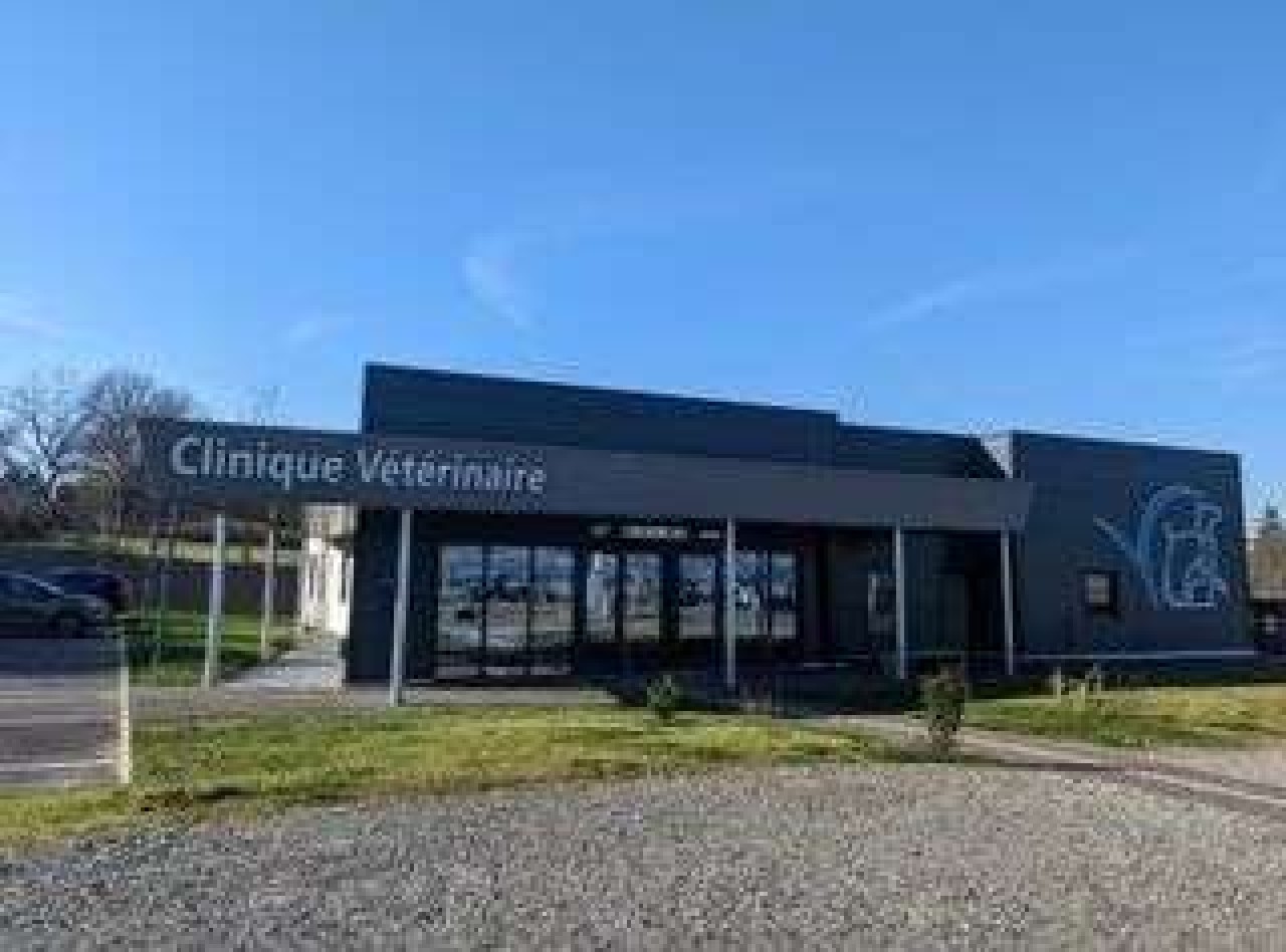 Clinique Vétérinaire Excelsia