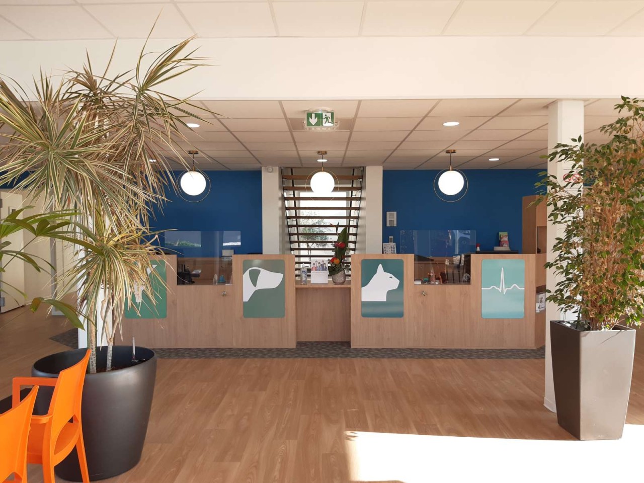 Clinique Veterinaire Croix Du Sud