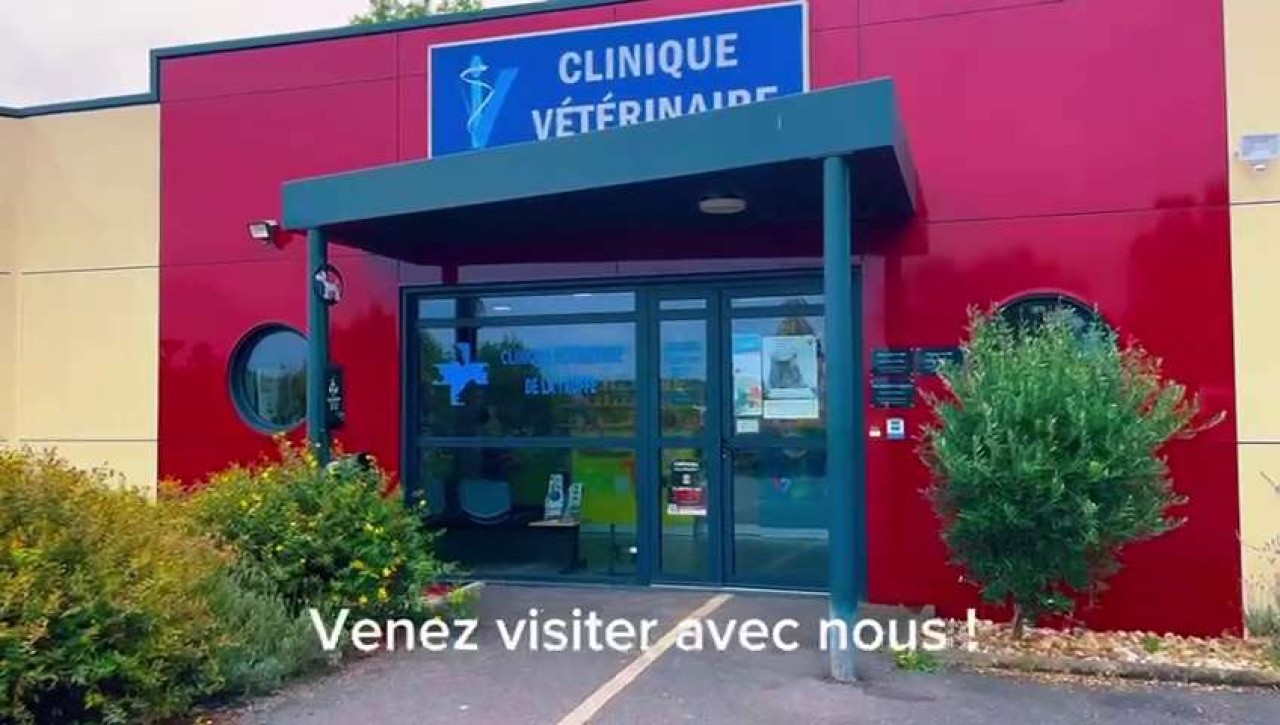 Clinique Veterinaire De La Truffe