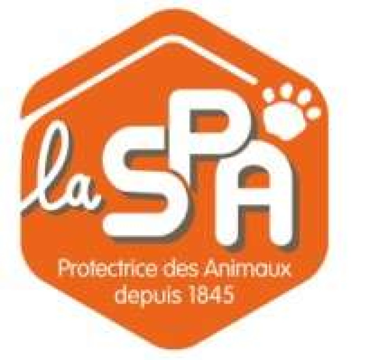 Société Protectrice Des Animaux