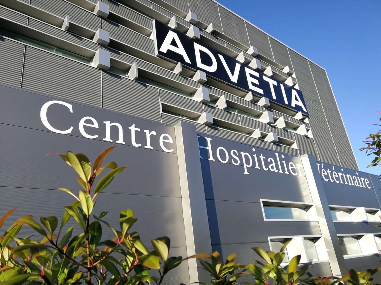 Advetia Centre Hospitalier Vétérinaire