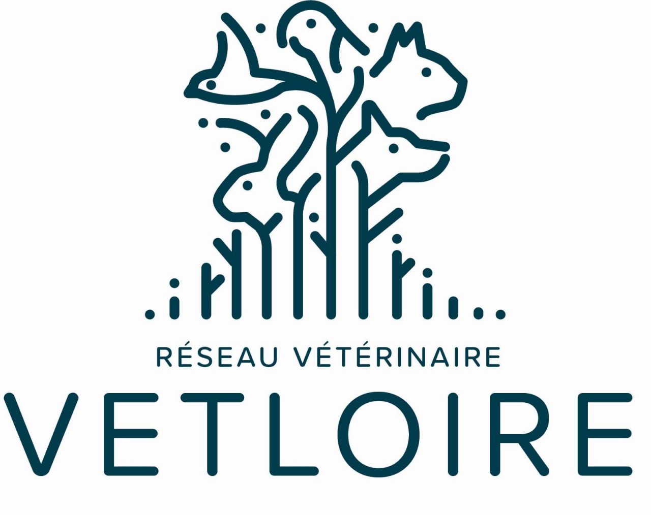 Veterinaire Rive Sud