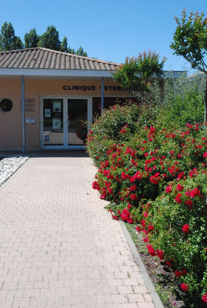 Clinique Vétérinaire De L'illot