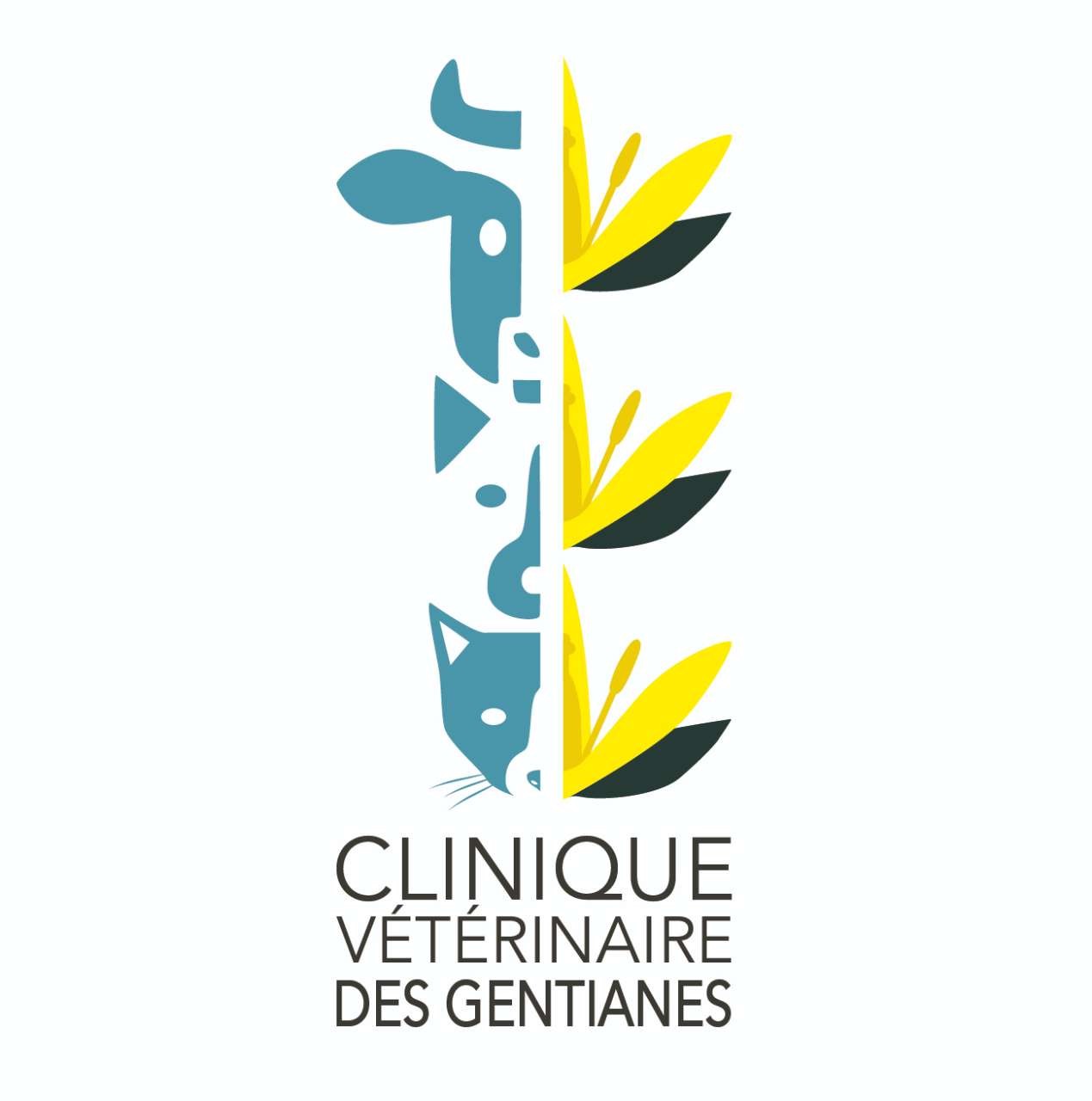 Clinique Vétérinaire Des Gentianes