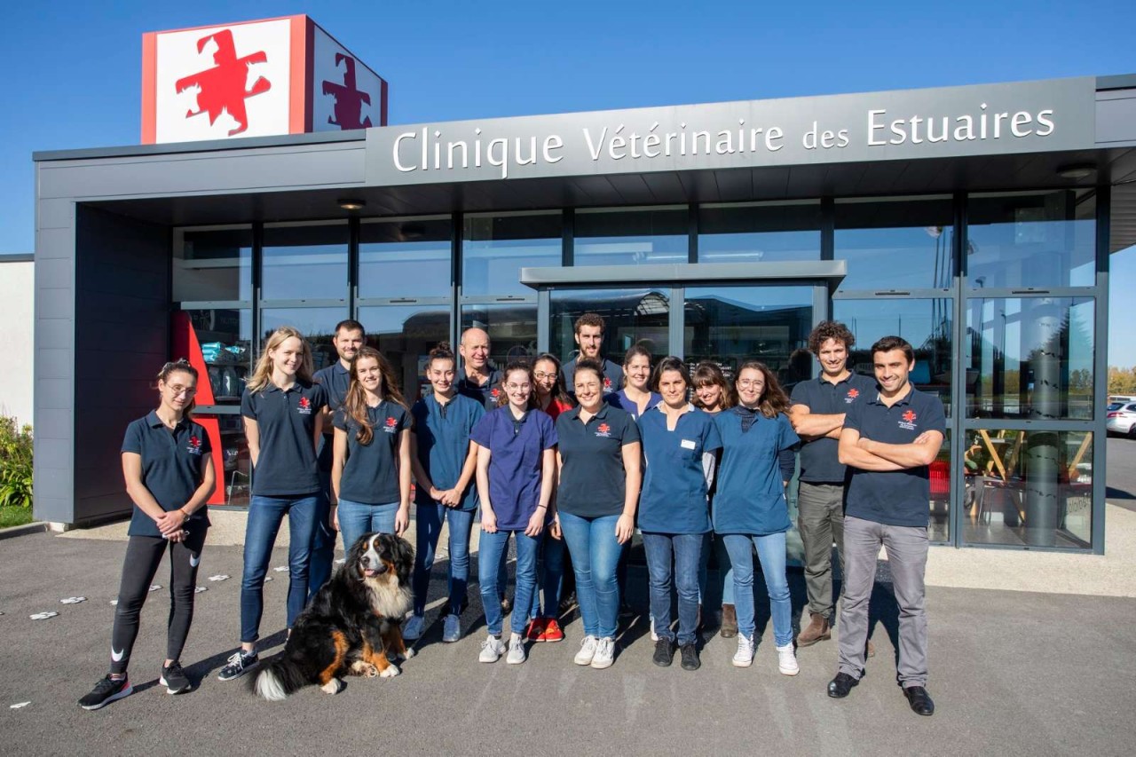 Clinique Vétérinaire Des Estuaires