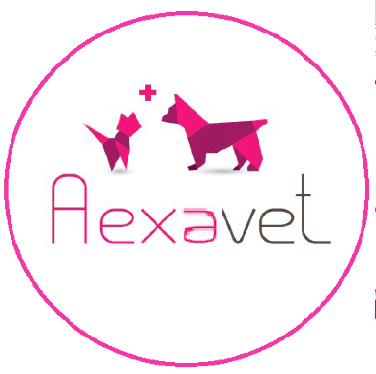 Aexavet