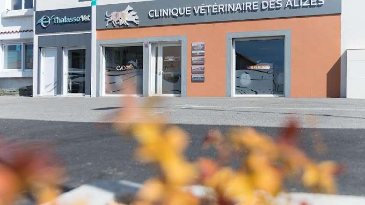 Vetpartners France