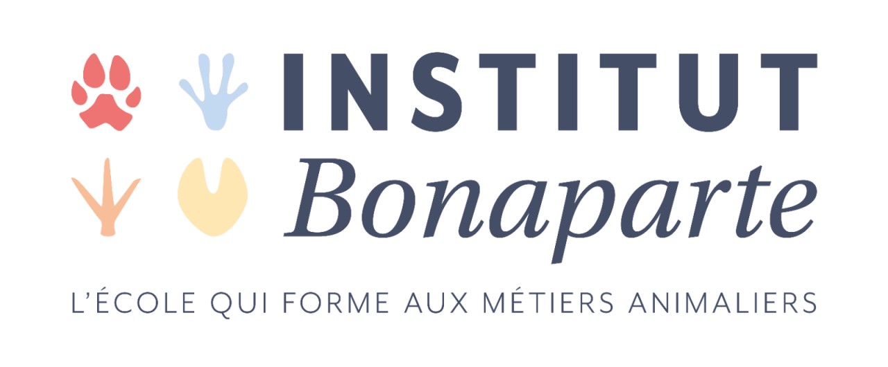 Institut Bonaparte