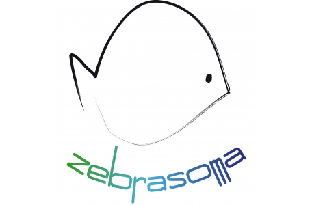 Zebrasoma