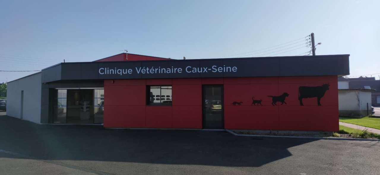 Scp Vétérinaire Caux Seine