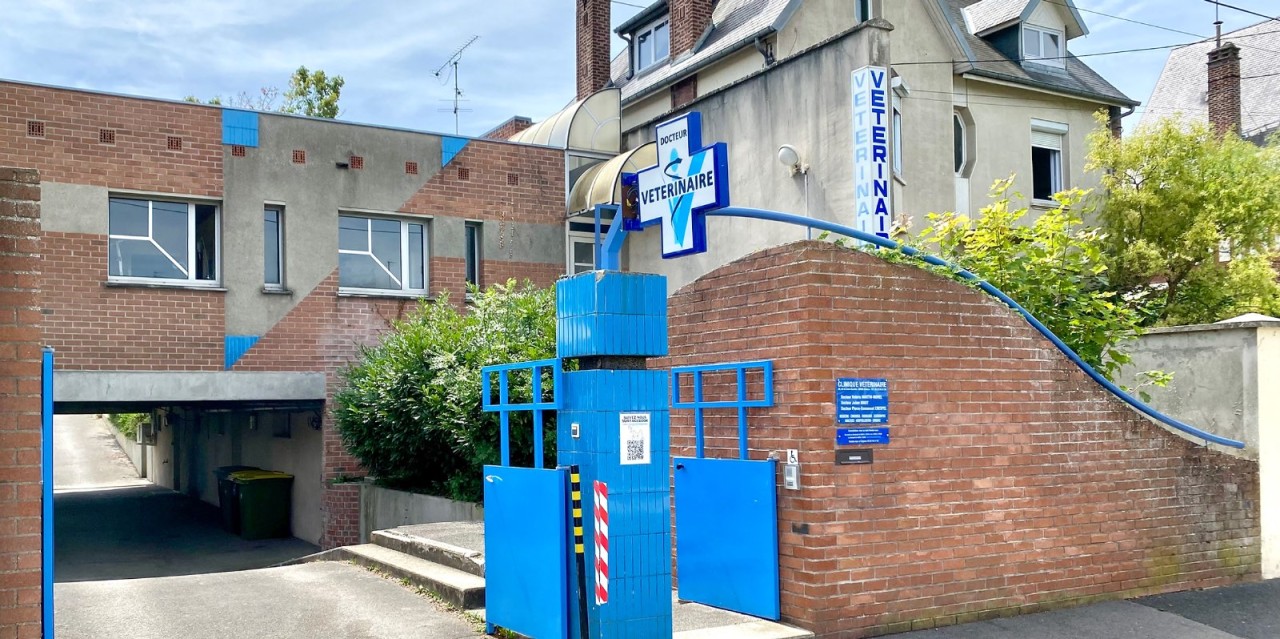 Clinique vétérinaire Saint François 