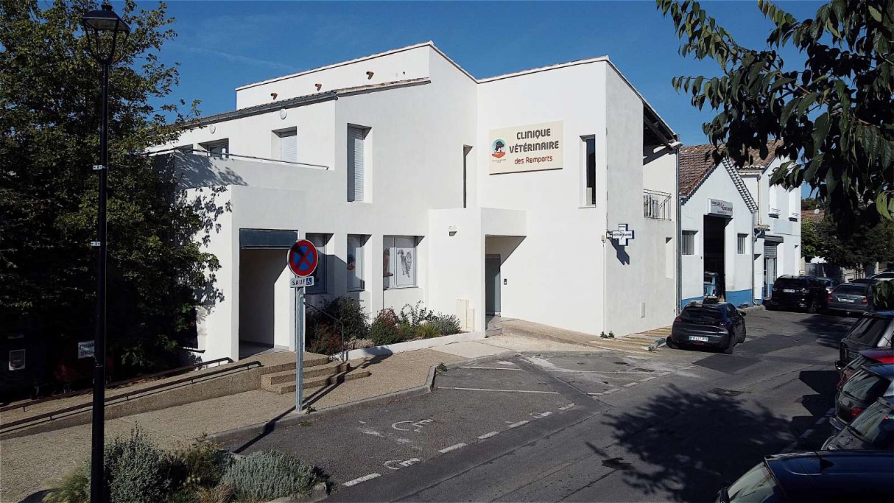 Clinique Veterinaire Sainte Anne