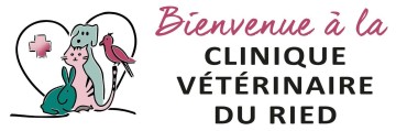 SELARL DES VETERINAIRES DU RIED