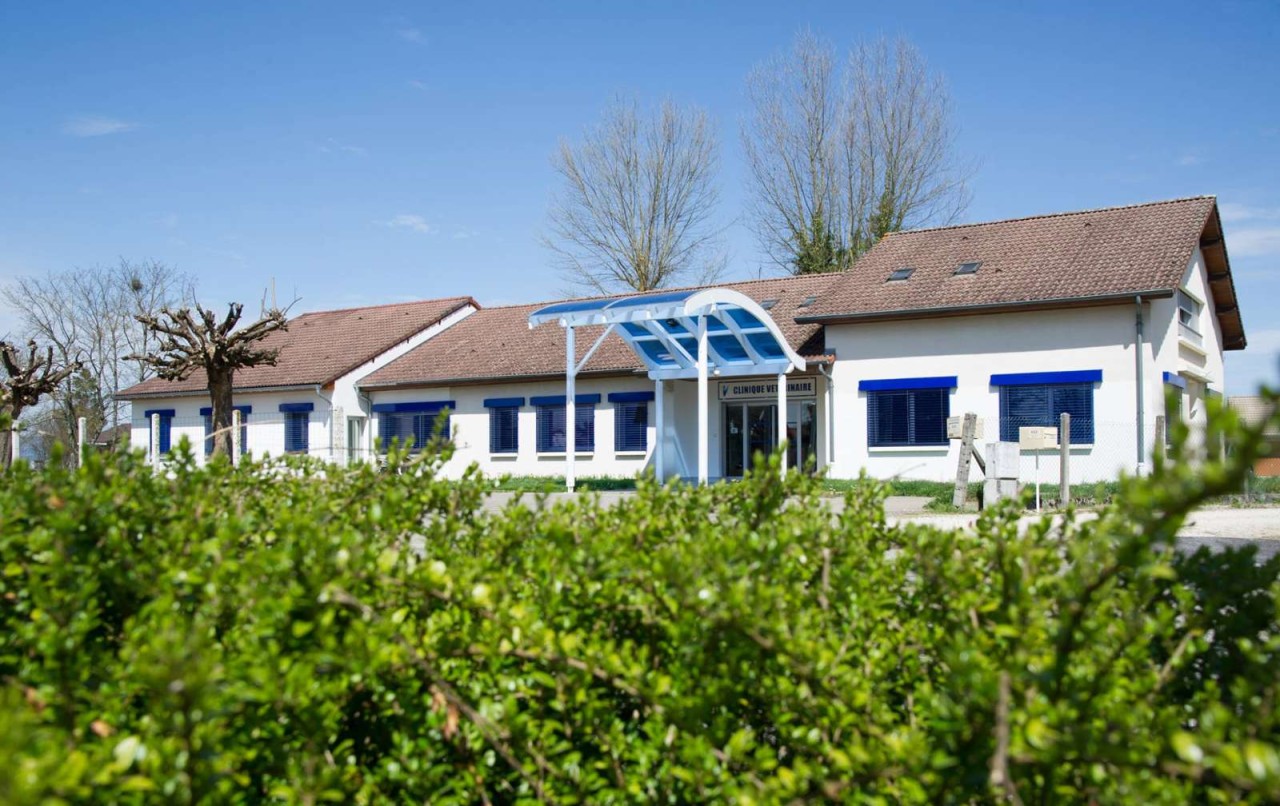 Clinique Vétérinaire Des Bruniaux