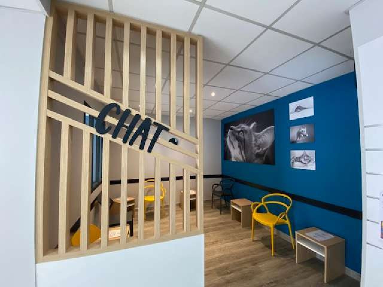 Clinique Vétérinaire Sévigné