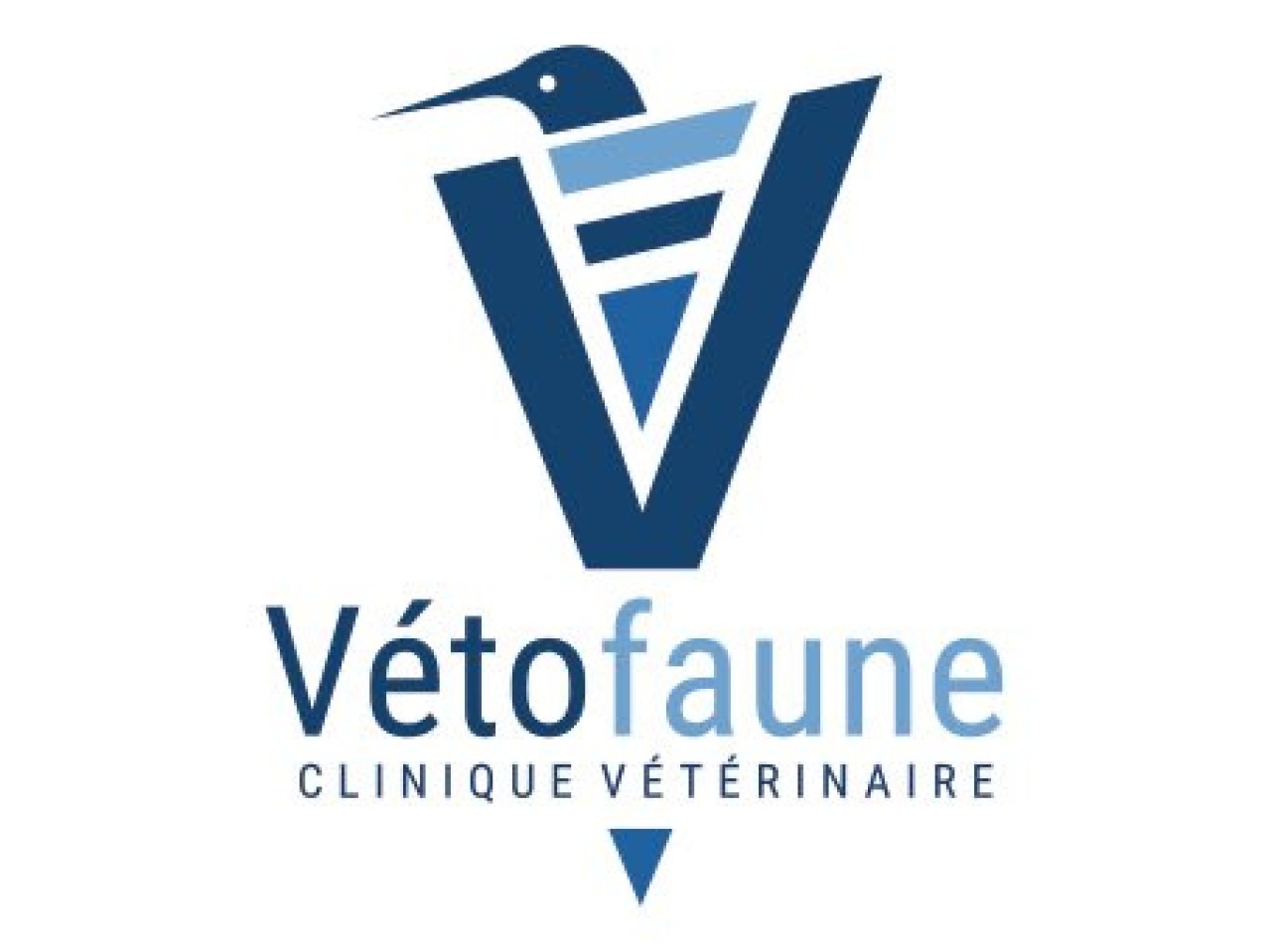 Veto Faune Clinique Vétérinaire De Sigean