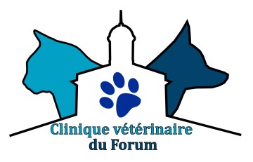 Clinique vétérinaire du Forum