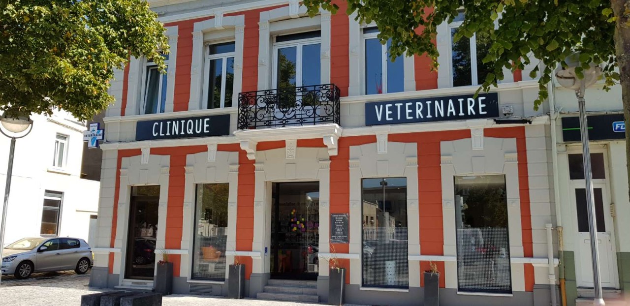 CLINIQUE VETERINAIRE DES SALINES