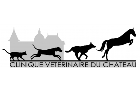 Clinique Vétérinaire Du Château